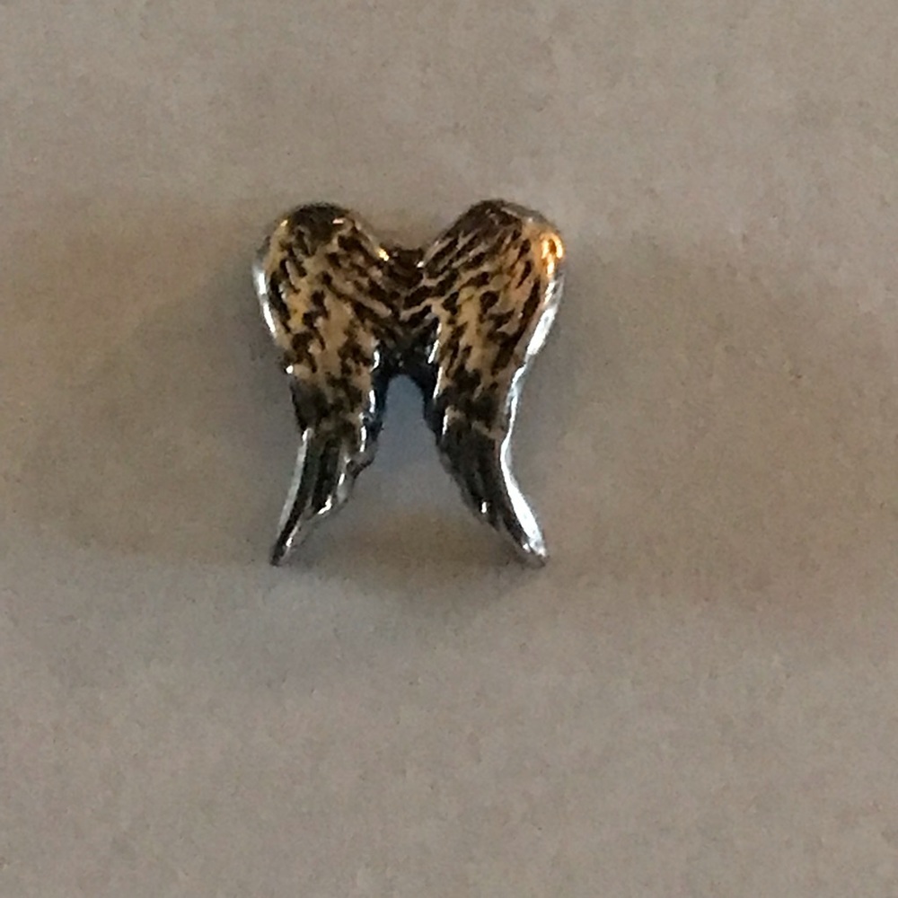 Silver Wings Charm